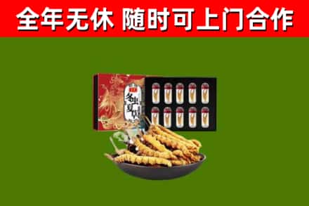 元宝山区回收冬虫夏草价格