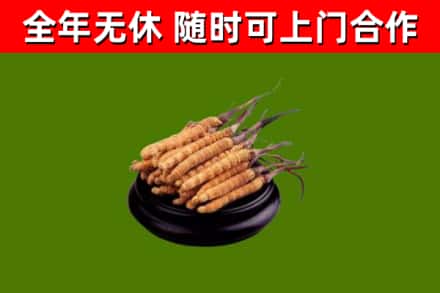 元宝山区烟酒回收冬虫夏草.jpg