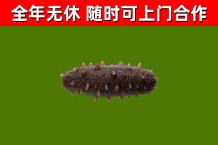 元宝山区烟酒回收干海参.jpg